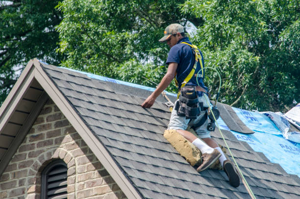 Best Storm Damage Roof Repair  in West Chicago, IL